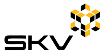 Professional Services Industry Client - SKV