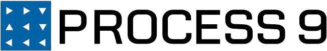 Professional Services Firm - Process 9